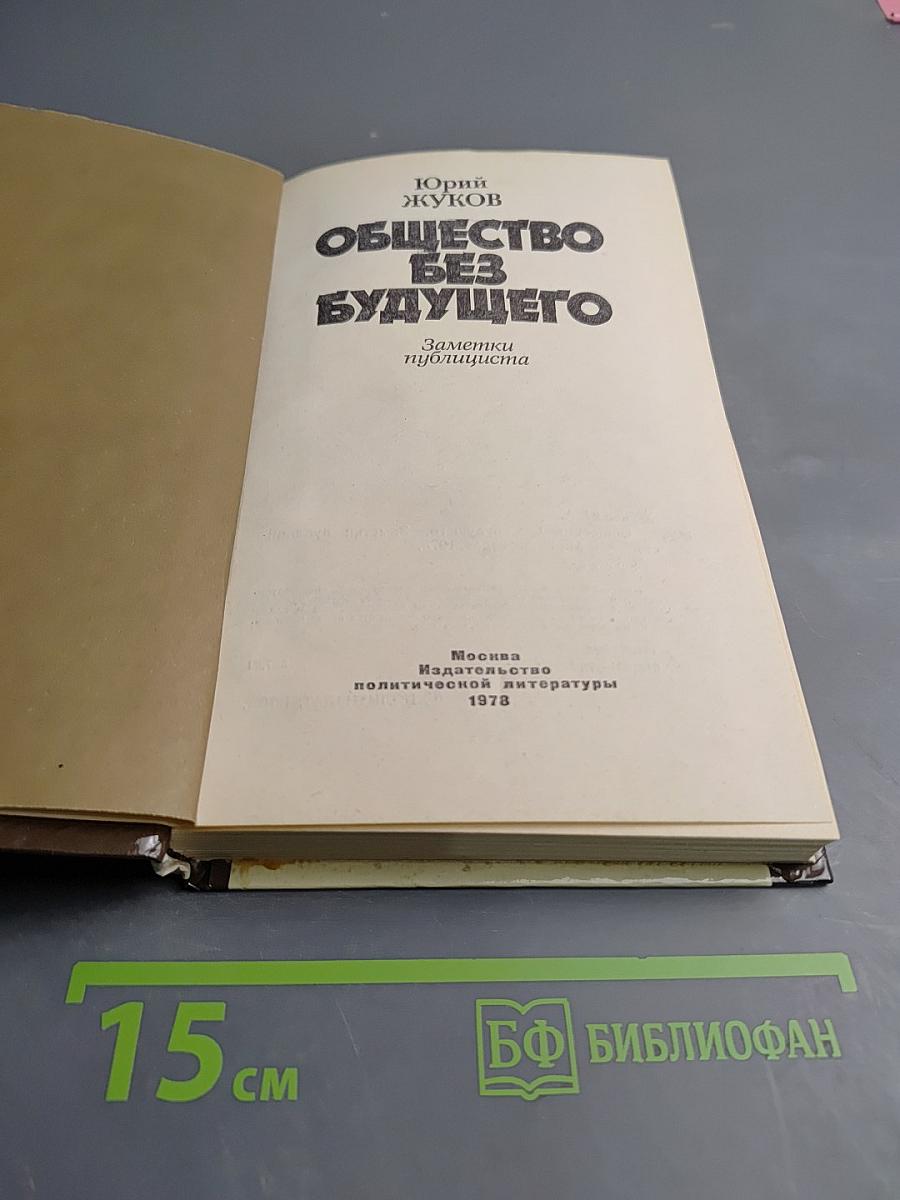 Общество без будущего. Заметки публициста