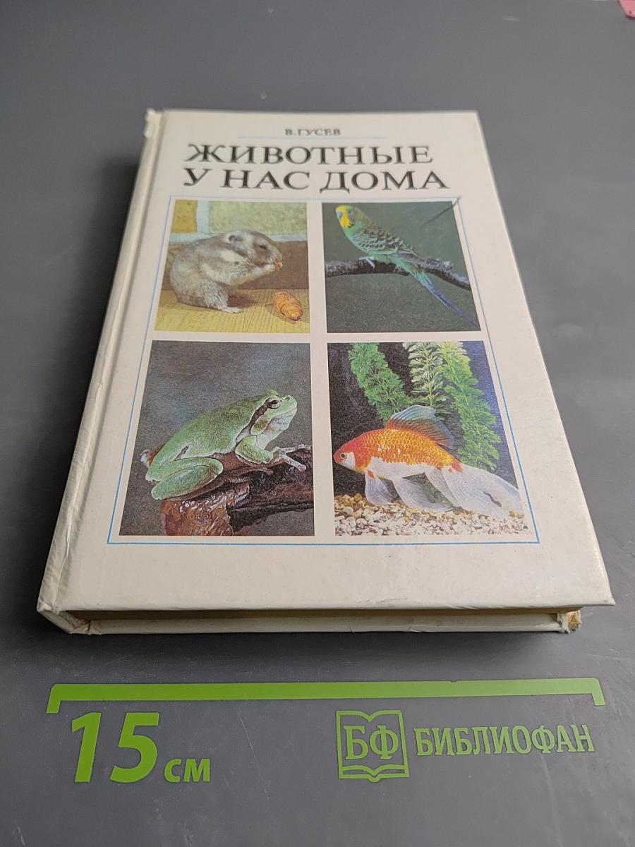 Животные у нас дома
