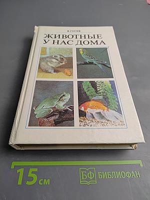 Животные у нас дома