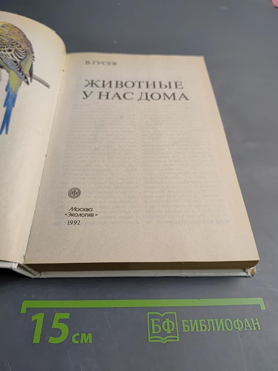 Животные у нас дома