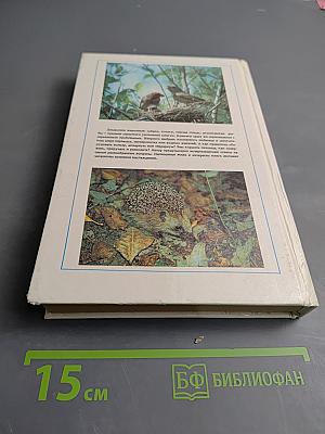 Животные у нас дома