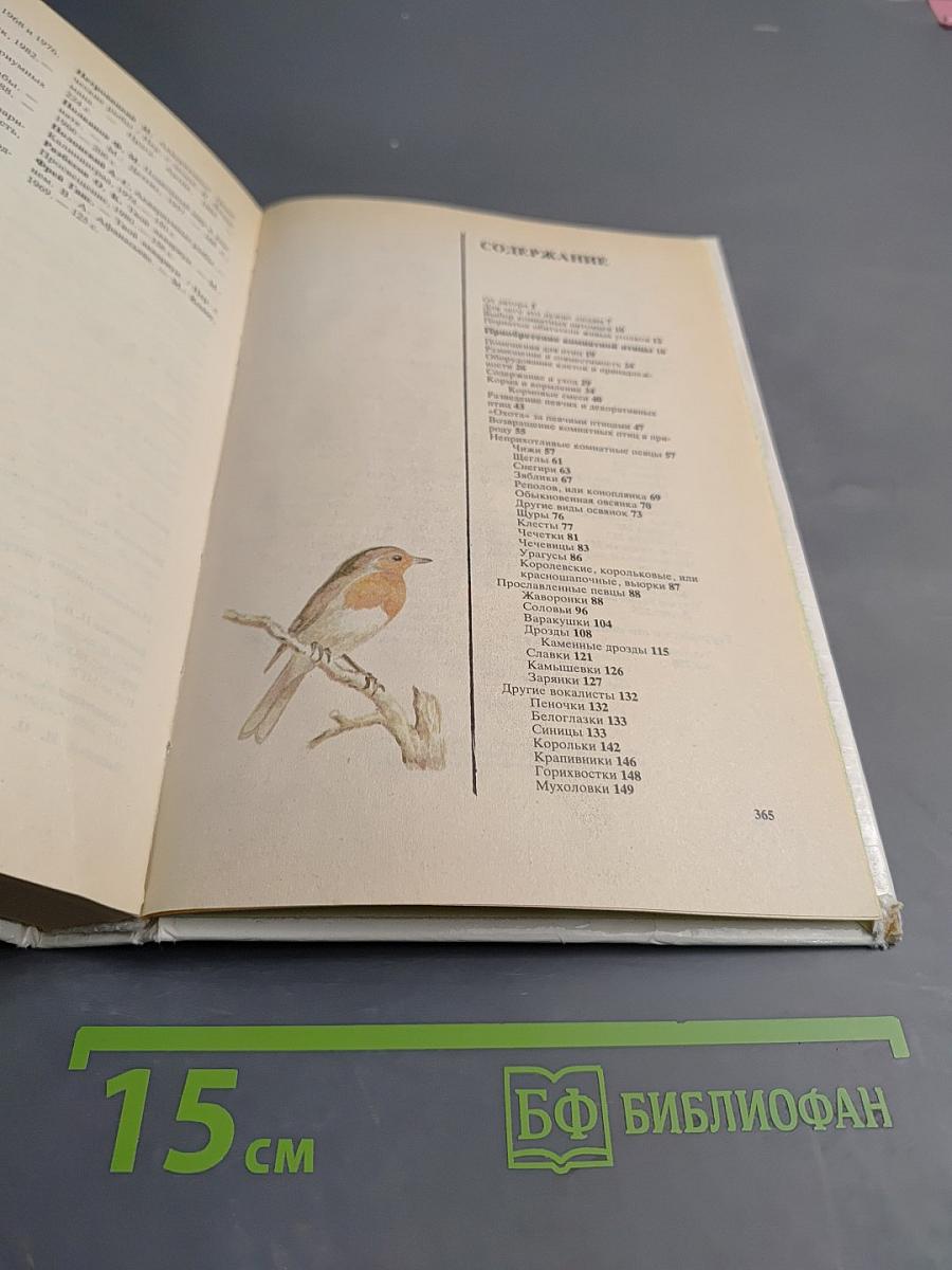 Животные у нас дома