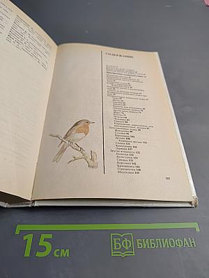 Животные у нас дома