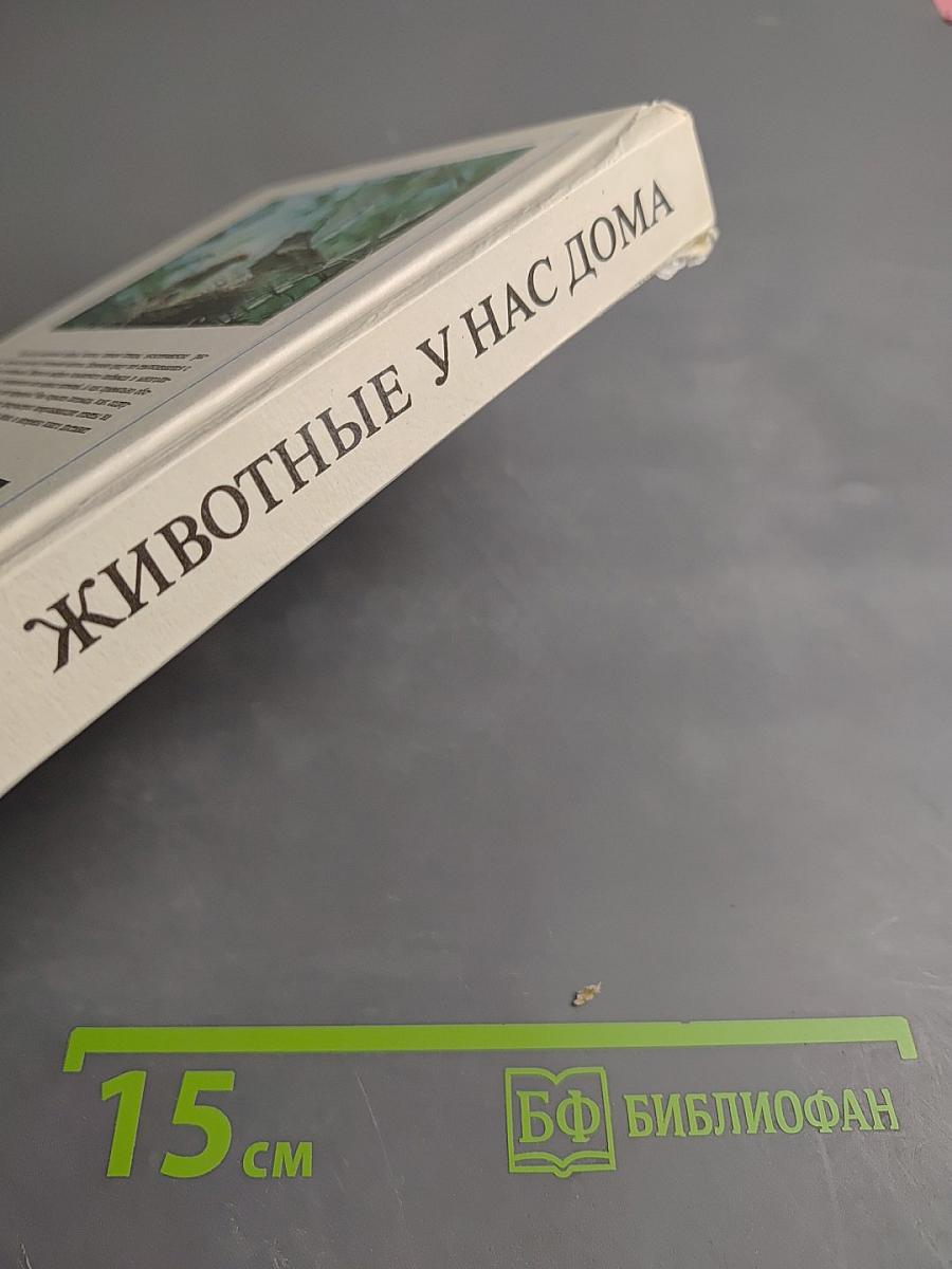 Животные у нас дома