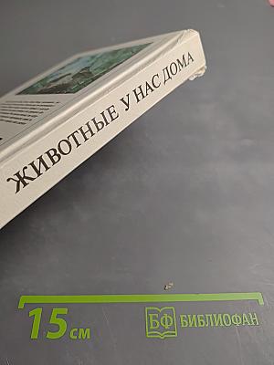 Животные у нас дома