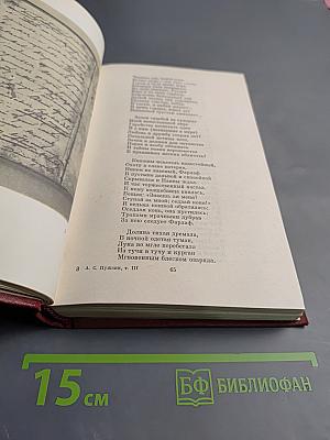 Собрание сочинений в десяти томах. Том 3: Поэмы. Сказки.