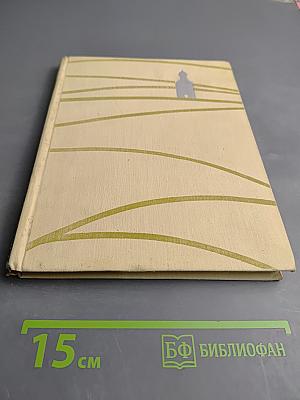 Против неба - на земле