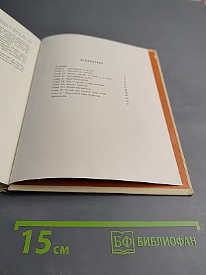 Против неба - на земле