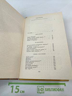 Время, Поэзия, Критика