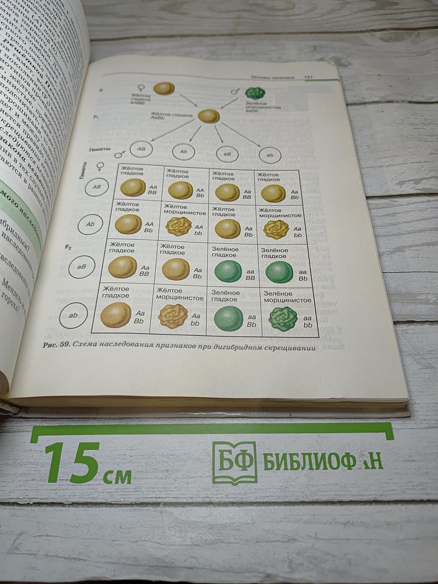 Биология. Общая биология. 10-11 классы. Базовый уровень