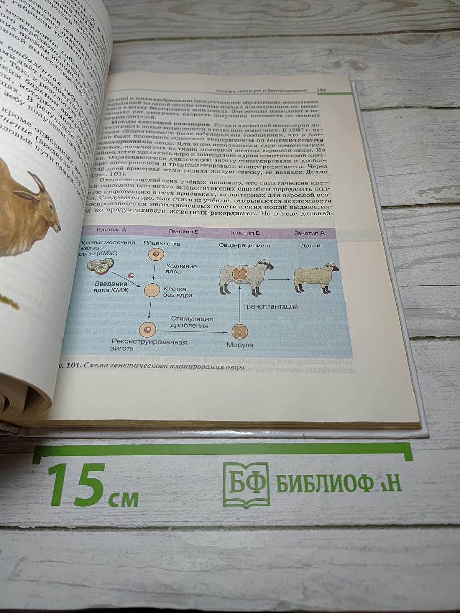 Биология. Общая биология. 10-11 классы. Базовый уровень
