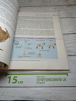 Биология. Общая биология. 10-11 классы. Базовый уровень