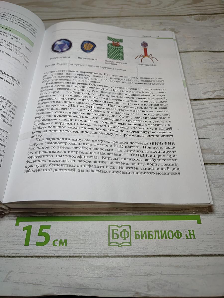 Биология. Общая биология. 10-11 классы