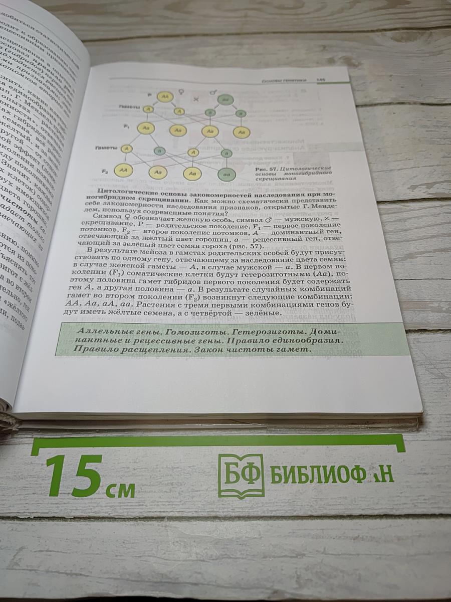 Биология. Общая биология. 10-11 классы