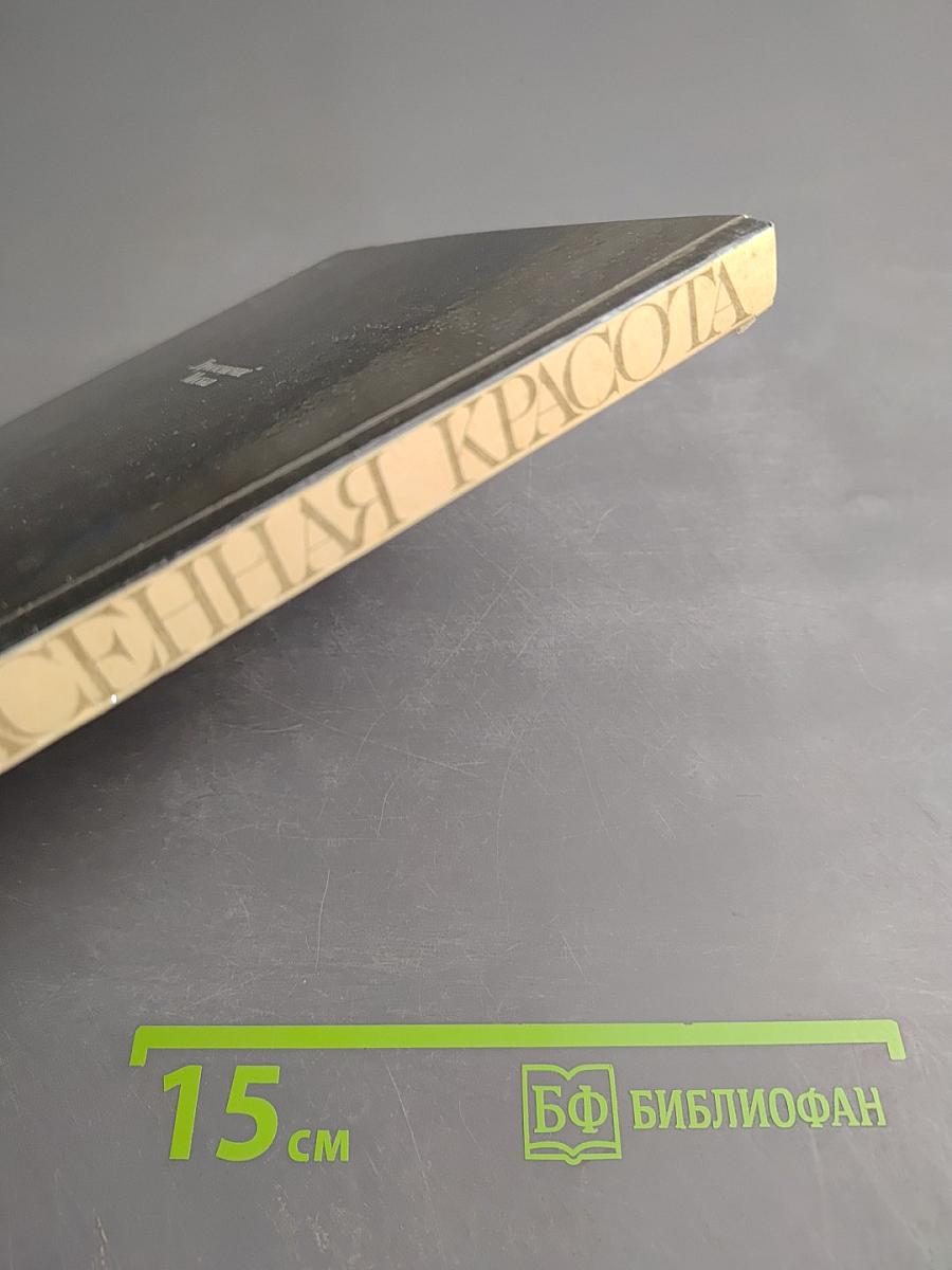 Спасенная красота. Рассказы о реставрации памятников искусства. Книга для учащихся старших классов