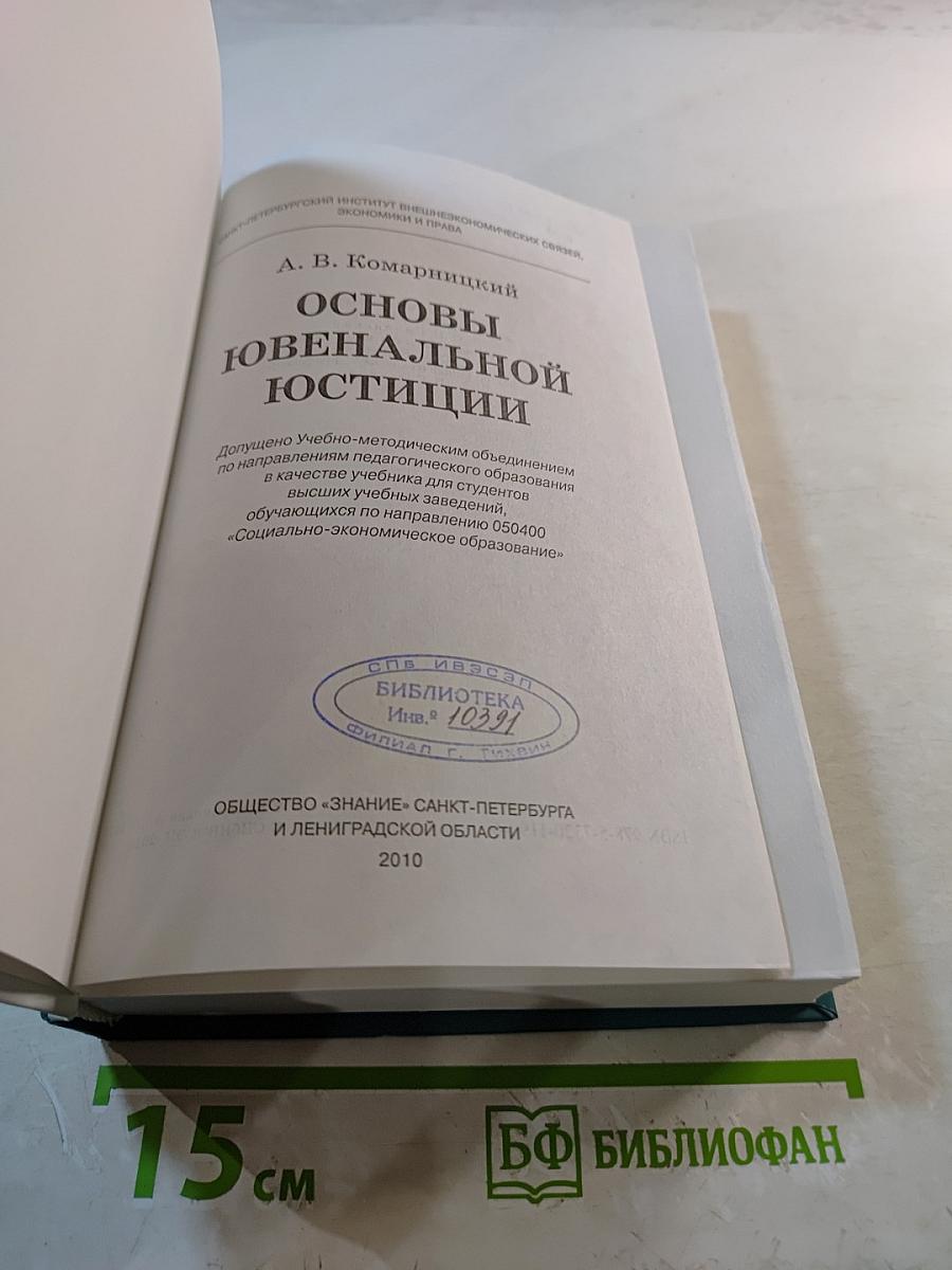 Основы ювенальной юстиции