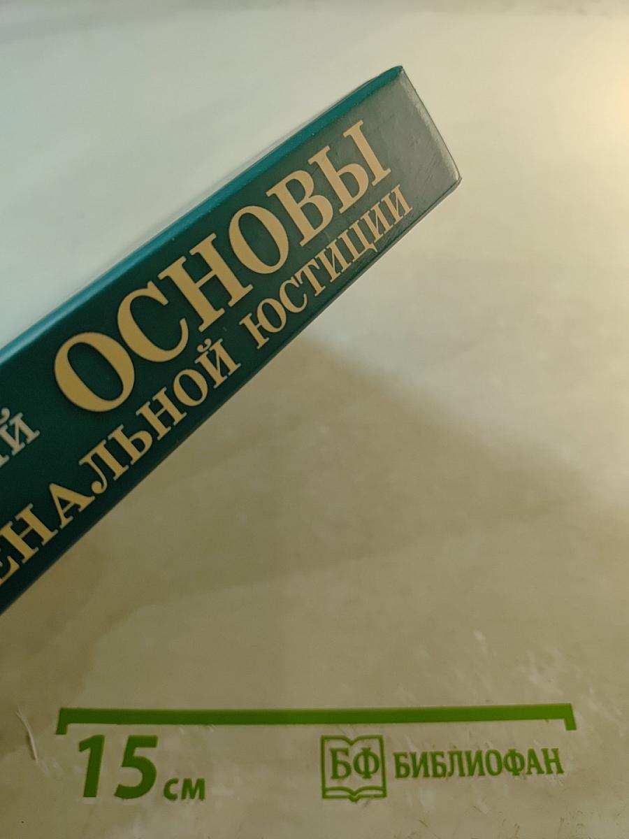 Основы ювенальной юстиции