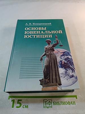 Основы ювенальной юстиции