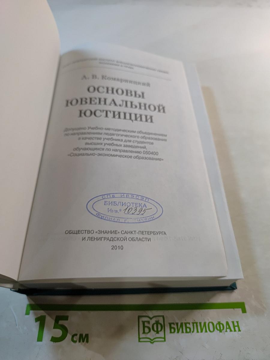 Основы ювенальной юстиции