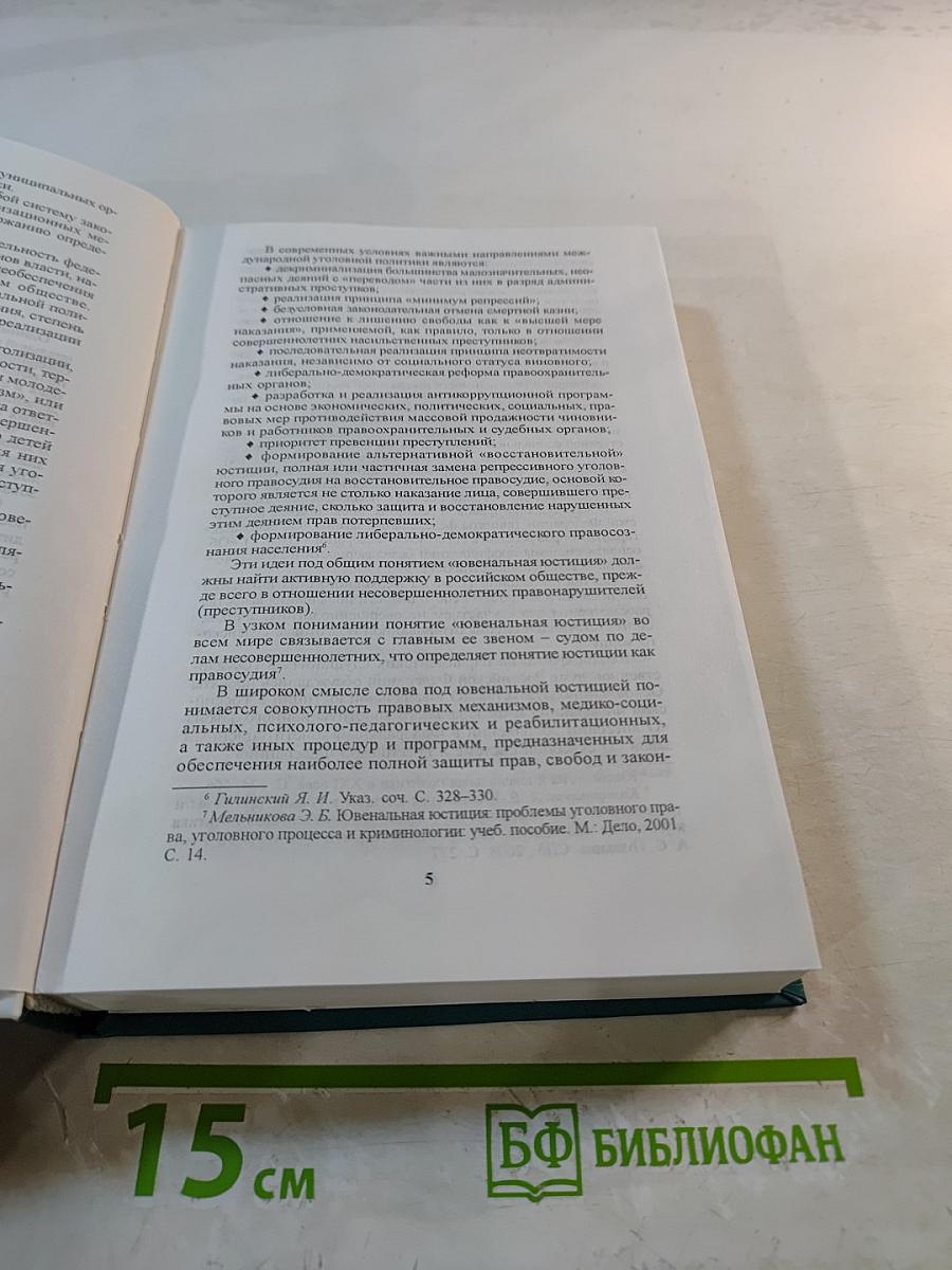 Основы ювенальной юстиции