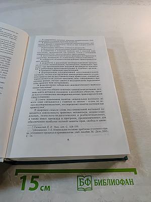 Основы ювенальной юстиции