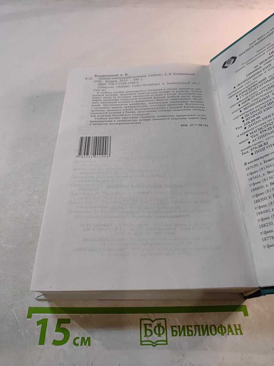 Основы ювенальной юстиции