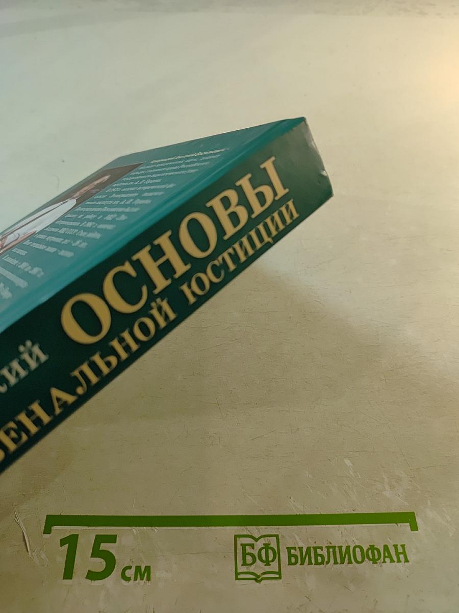 Основы ювенальной юстиции