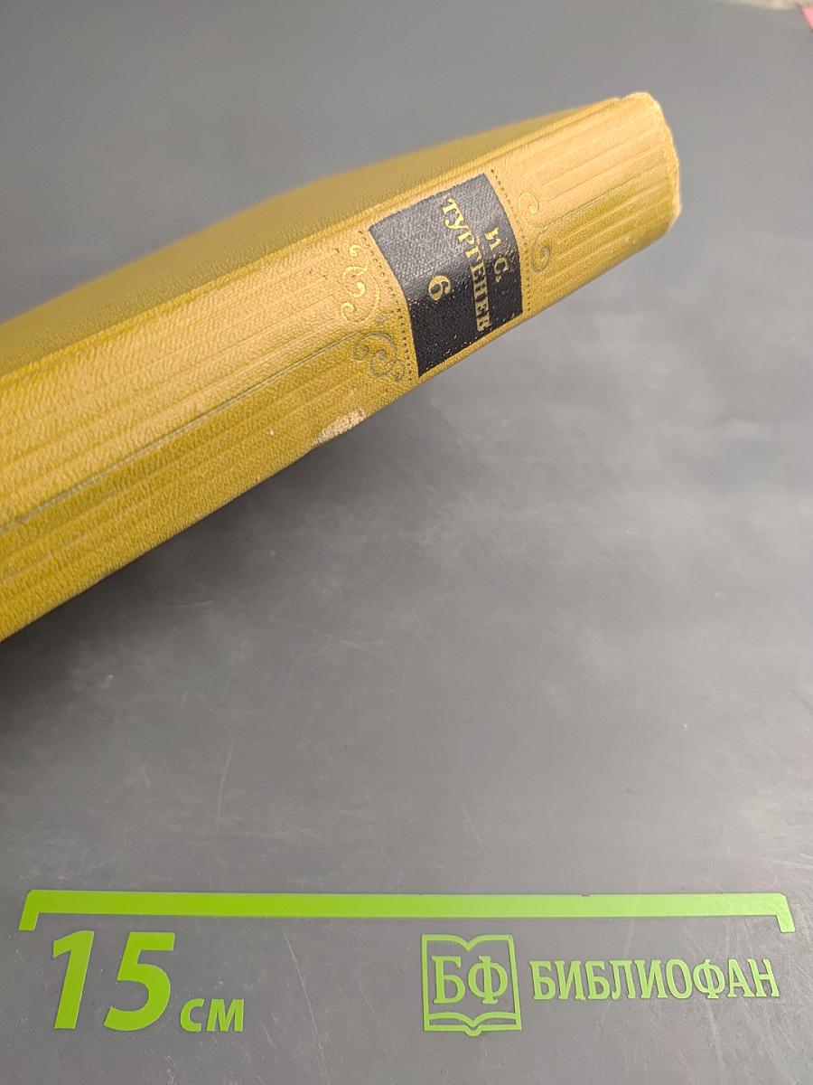 Собрание сочинений в десяти томах. Том 6