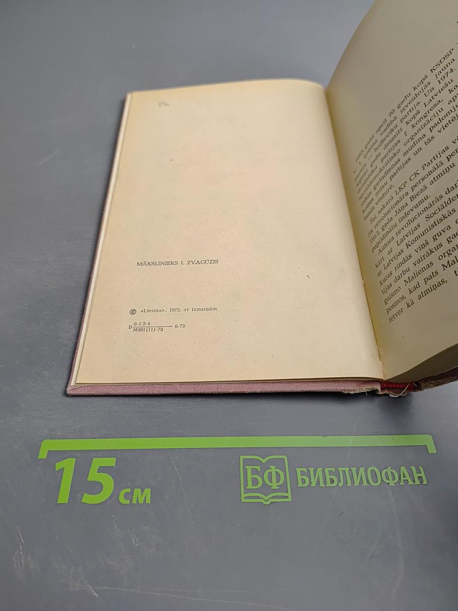 Пламенные годы