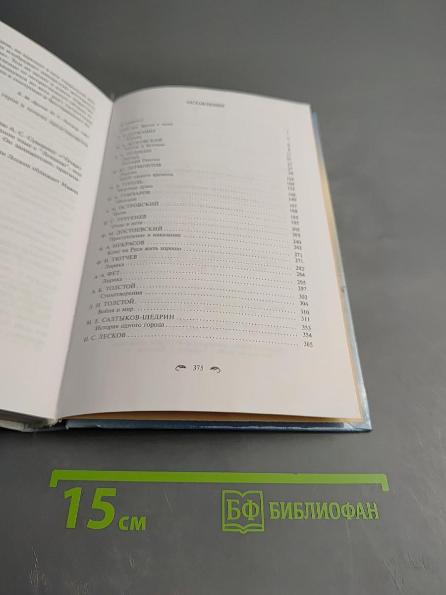 Русская литература XIX века 10 класс Учебник-практикум