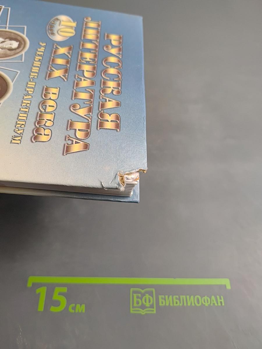 Русская литература XIX века 10 класс Учебник-практикум