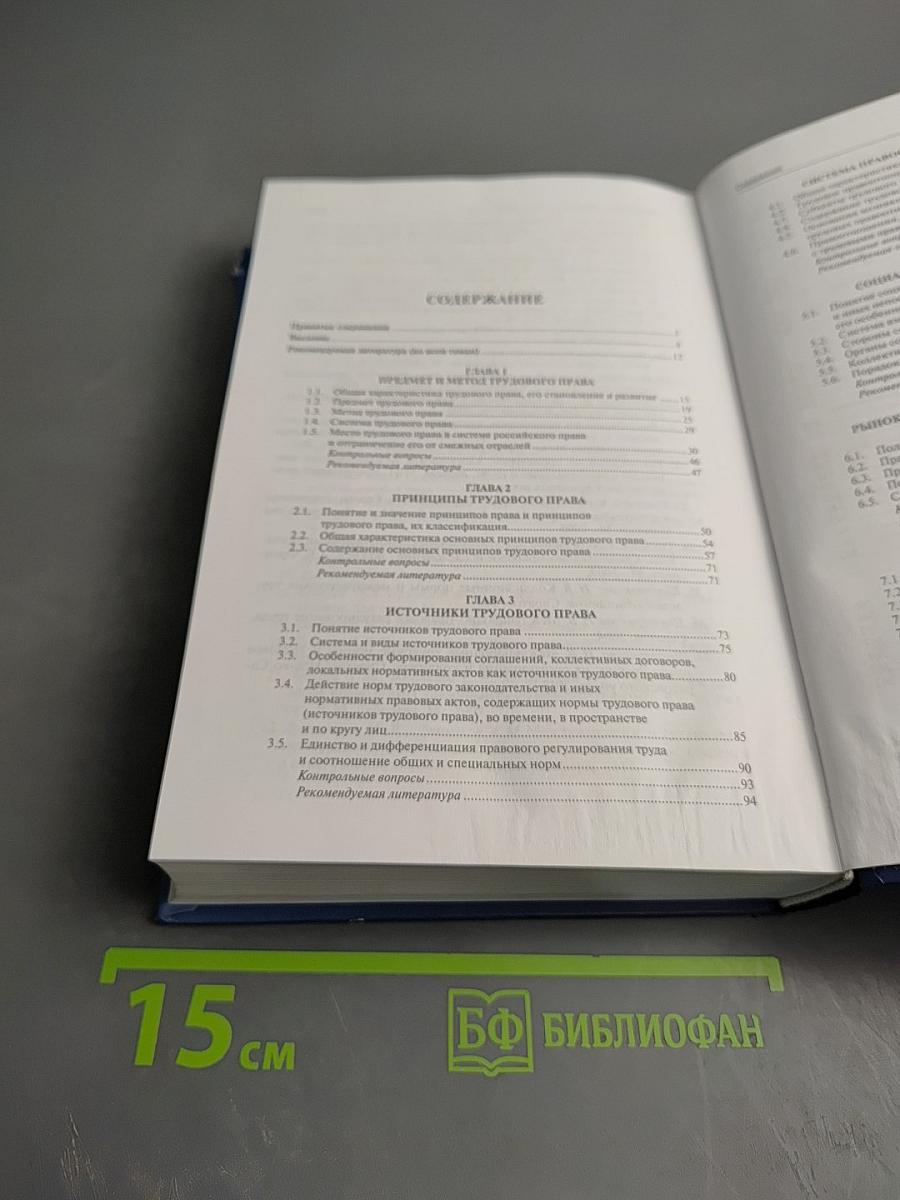 Трудовое право России. 3-е издание