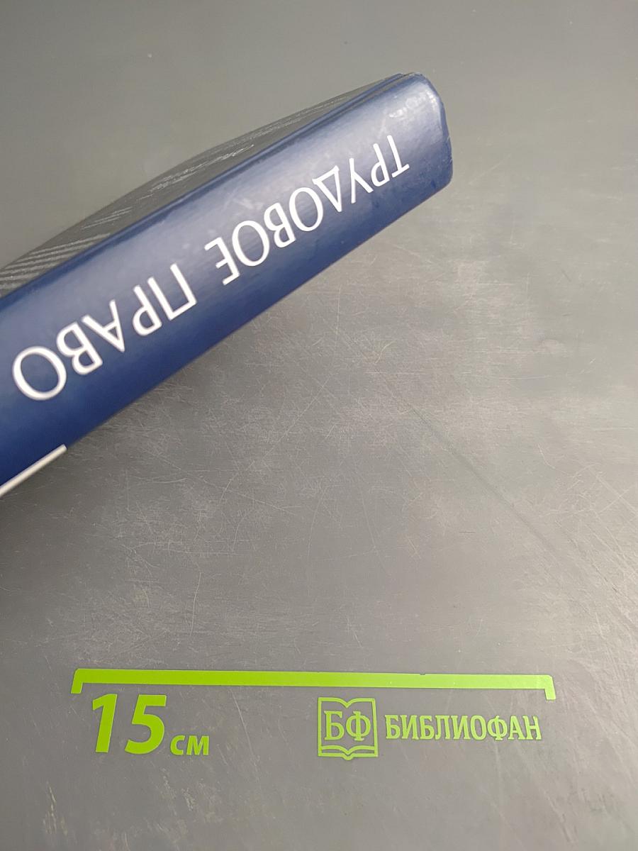 Трудовое право России. 3-е издание