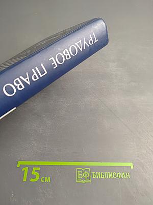 Трудовое право России. 3-е издание