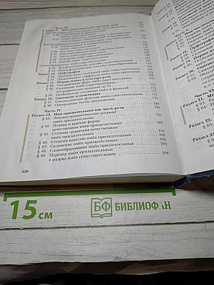 Русский язык 11 класс