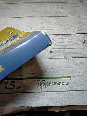 Русский язык 11 класс