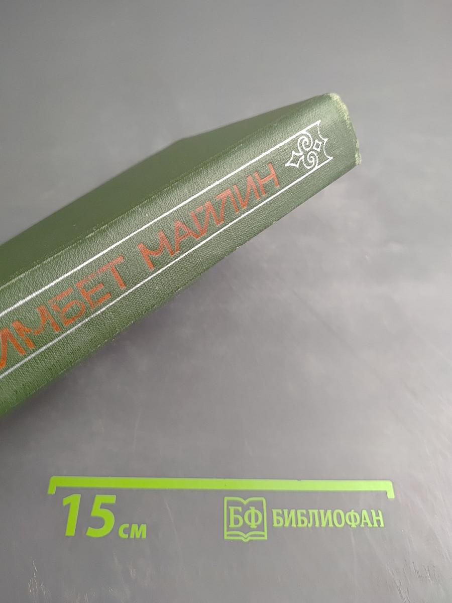 Рыжая полосатая шуба. Повести и рассказы