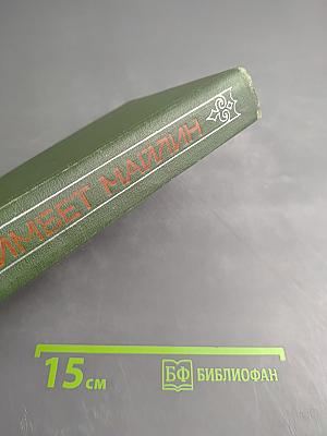 Рыжая полосатая шуба. Повести и рассказы