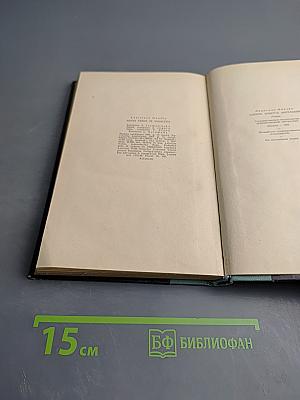 Naves vards ir engelitis