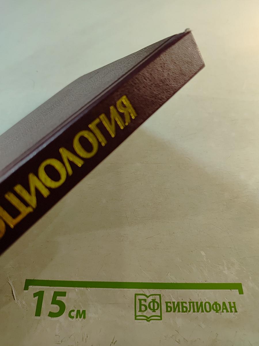 Социология