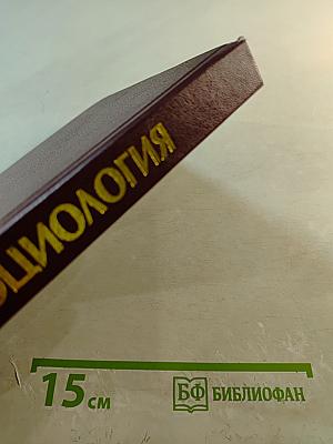 Социология