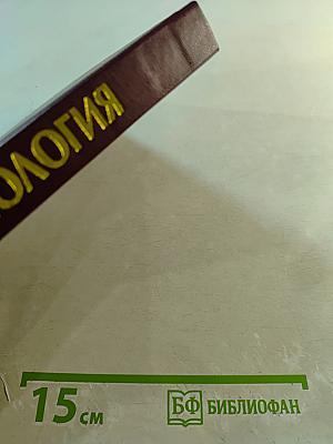 Социология