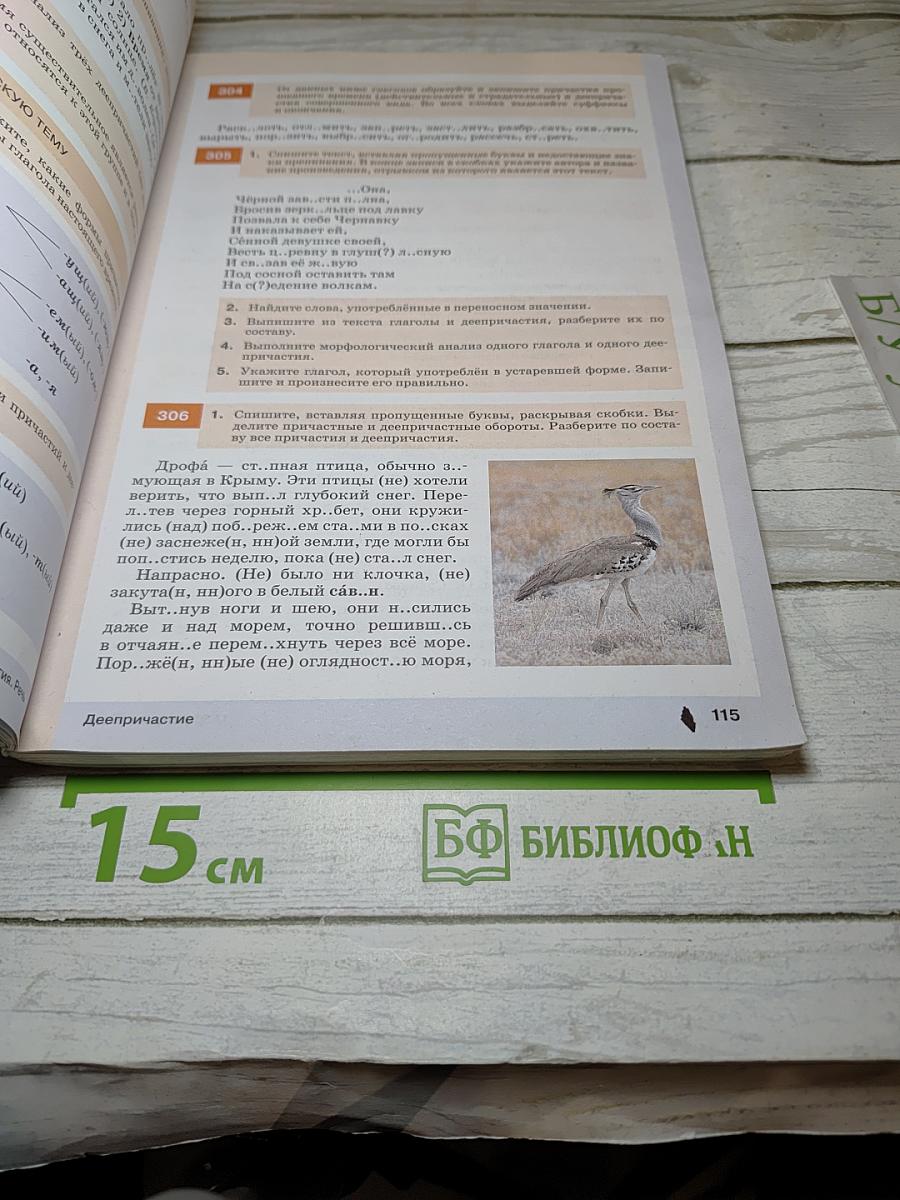 Русский язык 7 класс