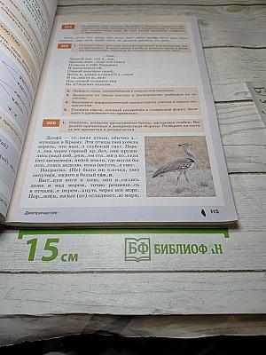 Русский язык 7 класс