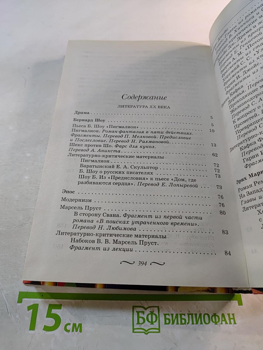 Зарубежная литература 10-11 классы. Часть 2