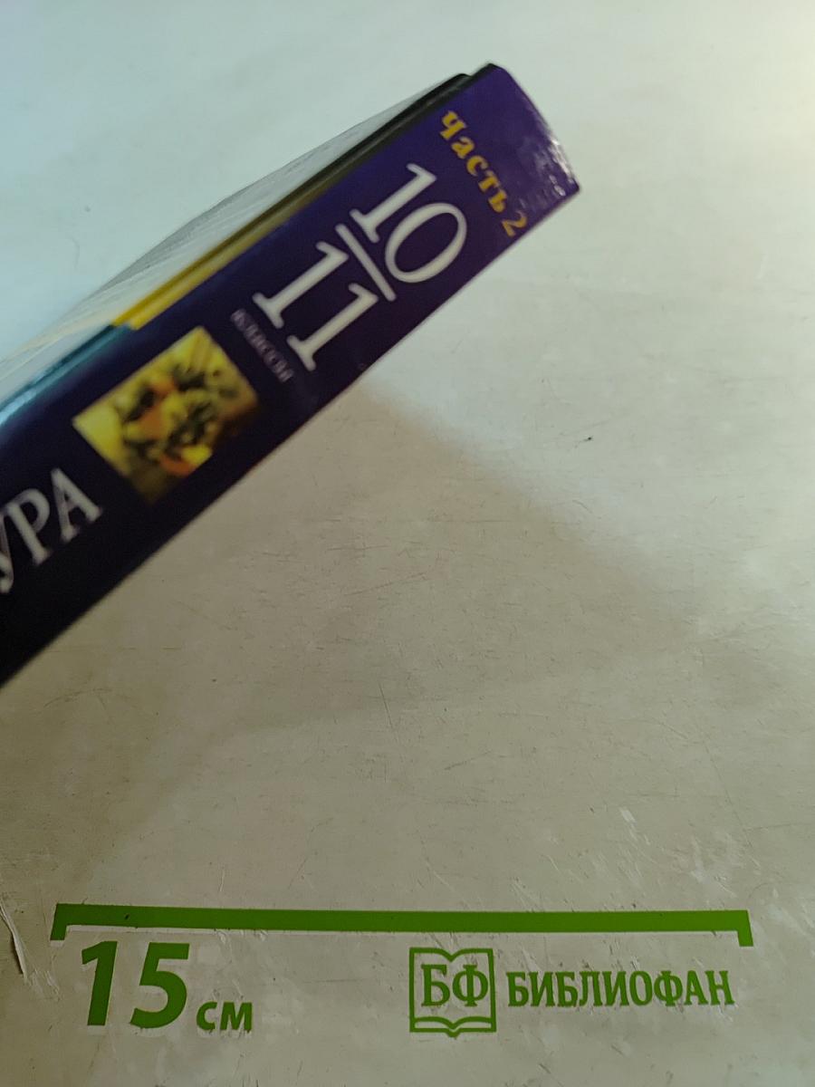 Зарубежная литература 10-11 классы. Часть 2