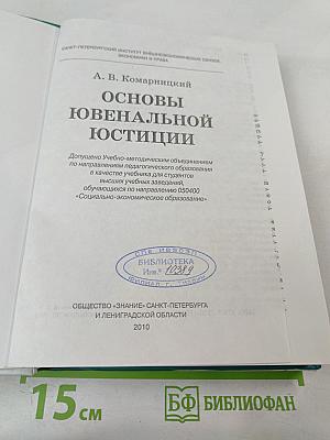 Основы ювенальной юстиции