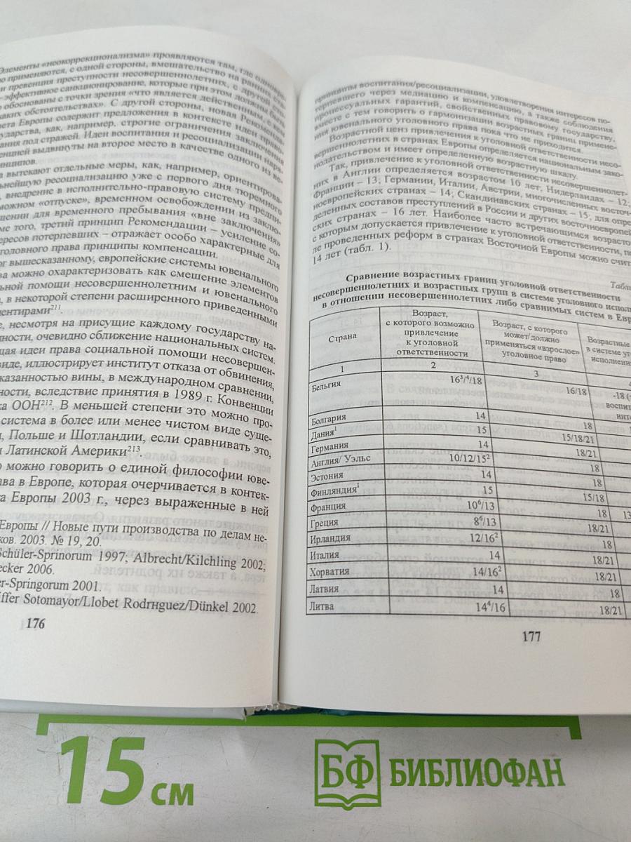 Основы ювенальной юстиции