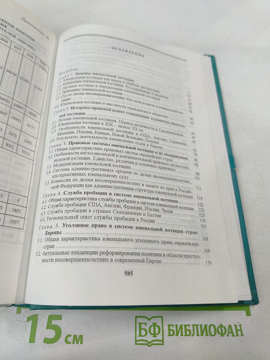 Основы ювенальной юстиции