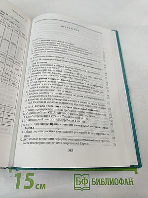 Основы ювенальной юстиции